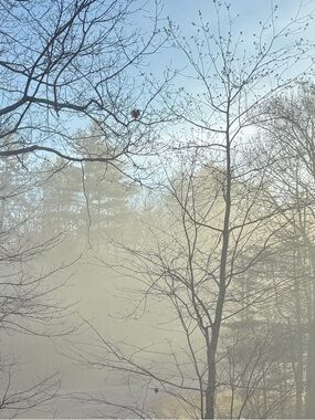 Meet your Posher, Charlene